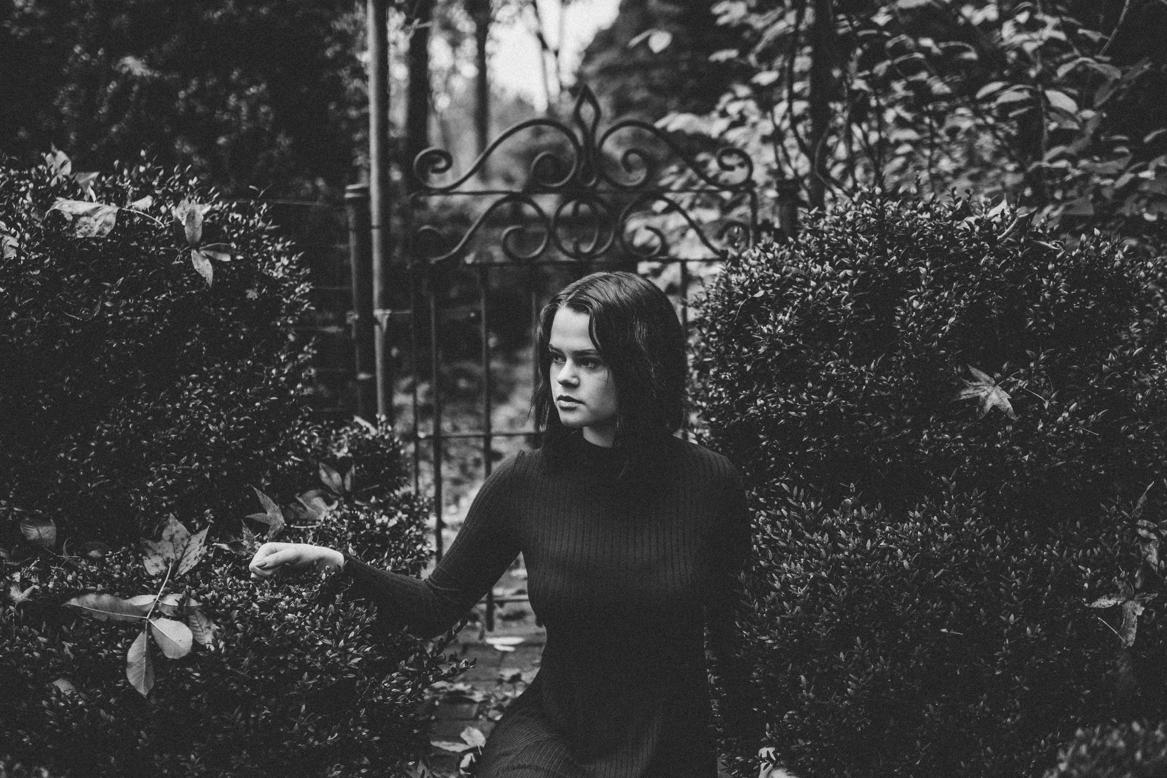 Haven Photo 2