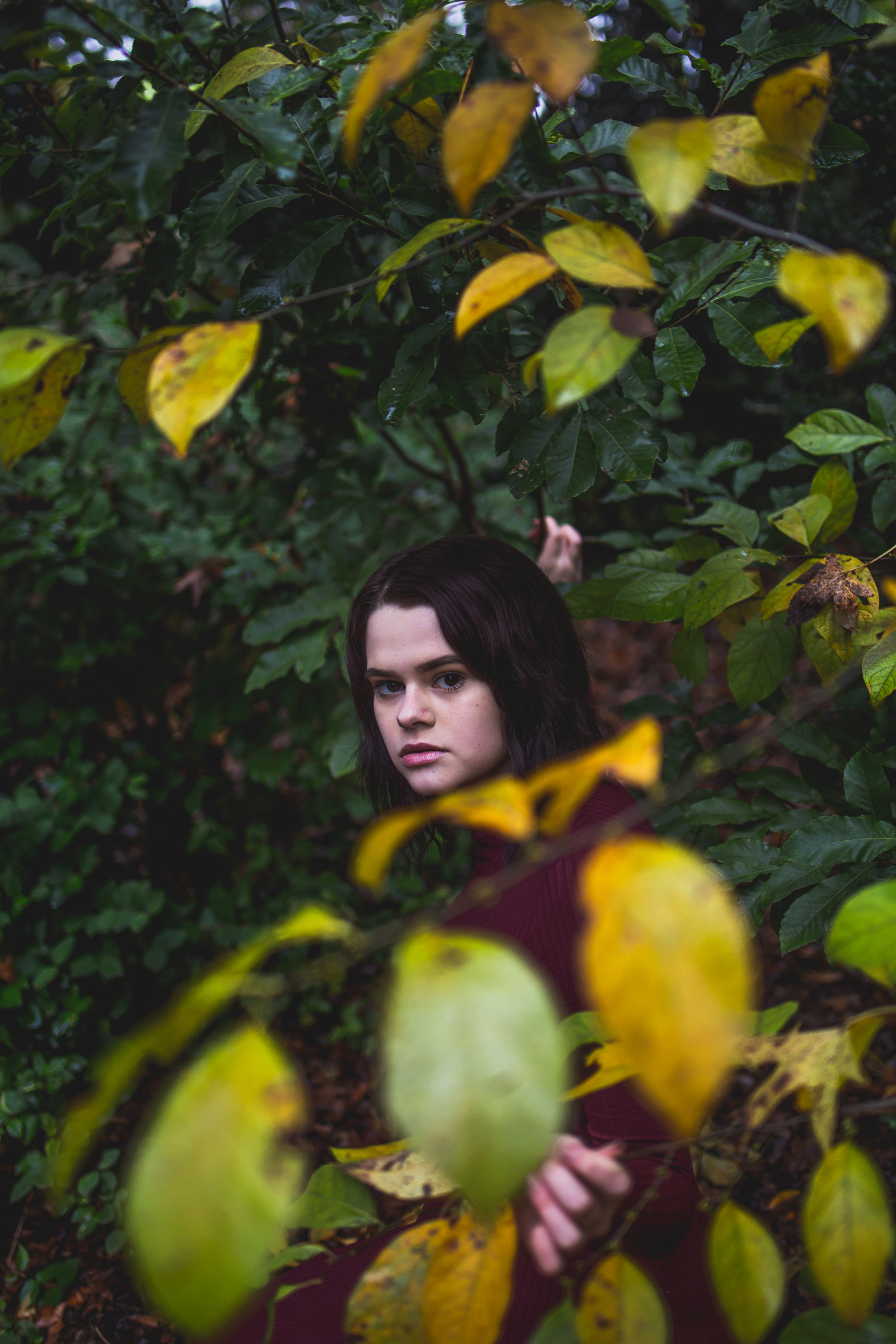 Haven Photo 8