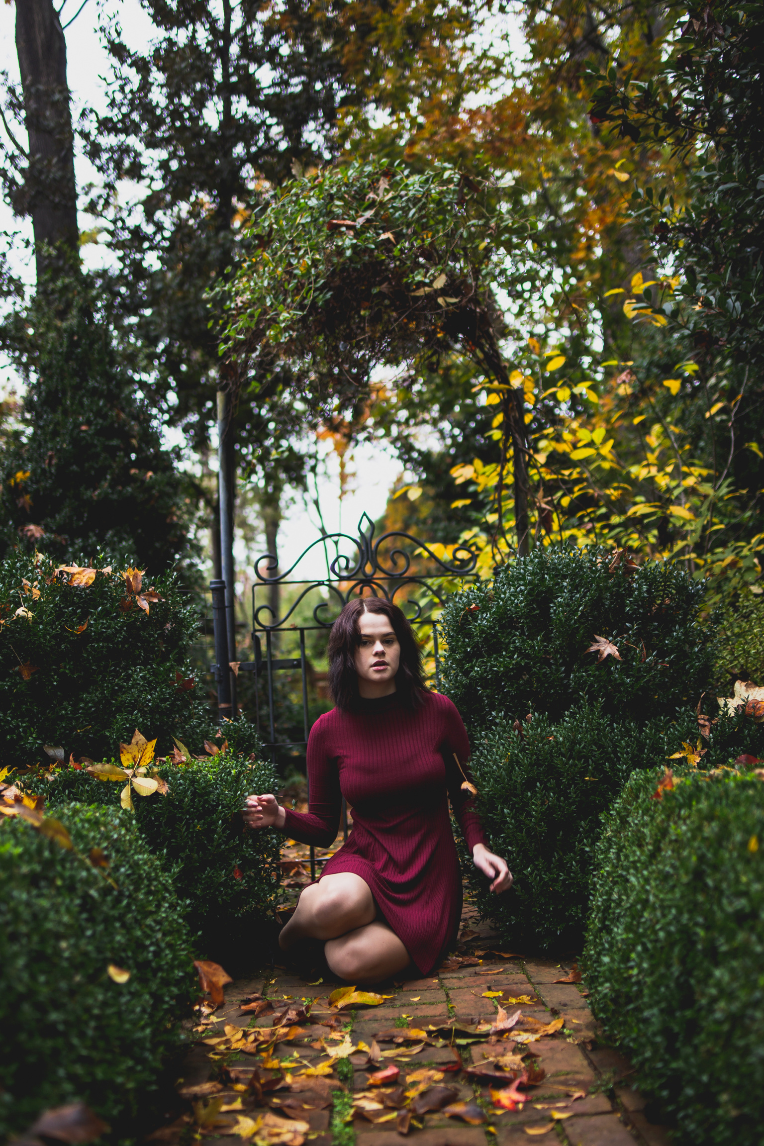 Haven Photo 11